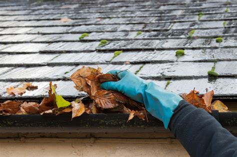 Hire the Best Gutter Cleaning and Repair Services in Fort Myers, FL on HomeAdvisor. We Have 4564 Homeowner Reviews of Top Fort Myers Gutter Cleaning and Repair Services. A.T. Roofing Repair, Southwest Florida Elite Handyman, LeafFilter Gutter Protection, Redeemed Renovations, Alvaro Rosas Handyman Services. Get Quotes and Book …